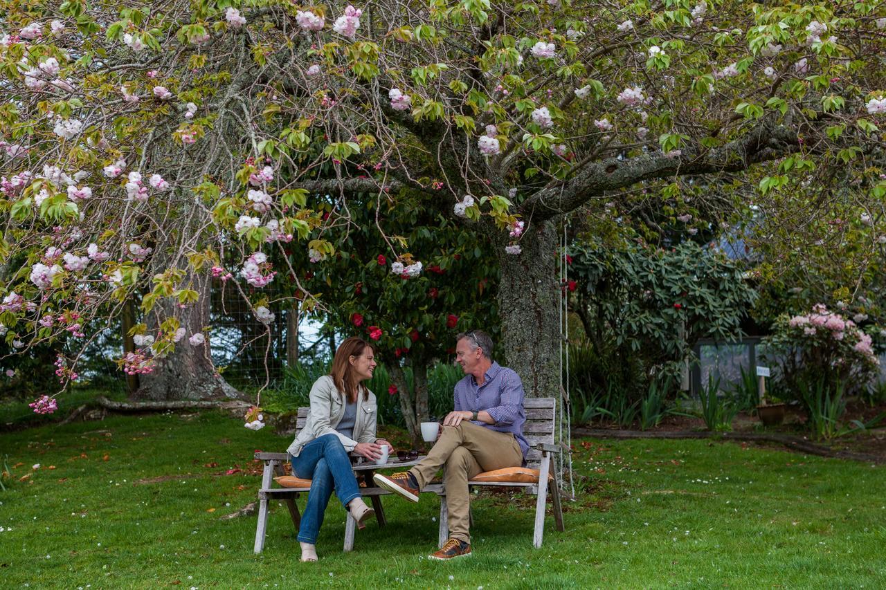 Clover Downs Homestead Ροτόρυα Εξωτερικό φωτογραφία