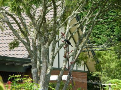 Clover Downs Homestead Ροτόρυα Εξωτερικό φωτογραφία